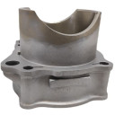 OEM SUZUKI 0212211 cylinder ltr450 06-09 langcourt