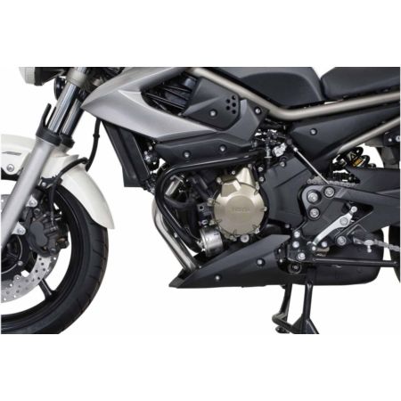Crashbar / gmole SW MOTECH