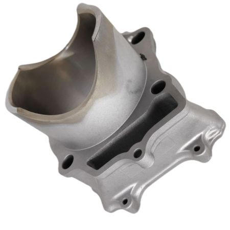 OEM SUZUKI 0212211 cylinder ltr450 06-09 langcourt