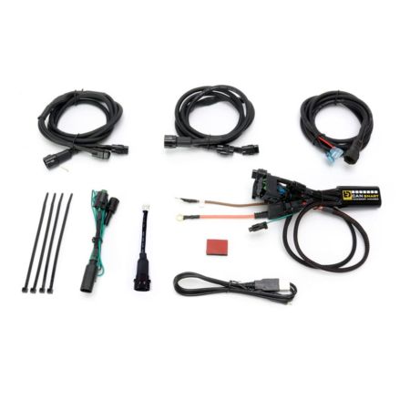 Kontroler DENALI CANSMART GEN II BMW R1200GS
