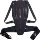 Ochraniacz pleców ALPINESTARS NUCLEON PLASMA L