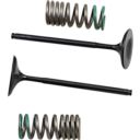 Zawory ssące + sprężyny crf 250 10-