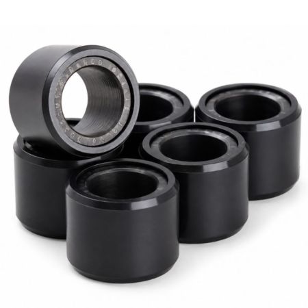 Variator-Rollen 9,0 g - 20 x 12 mm 6 szt