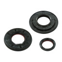ZESTAW USZCZELEK OLEJU SILNIKA SNO-X 89-5205 89-5205 #63732