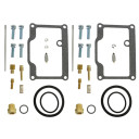 ZESTAW NAPRAWCZY GAŹNIKA SNO-X 87-07604 87-07604 #63424