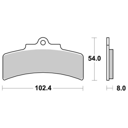 Klocki hamulcowe SBS CARBON 